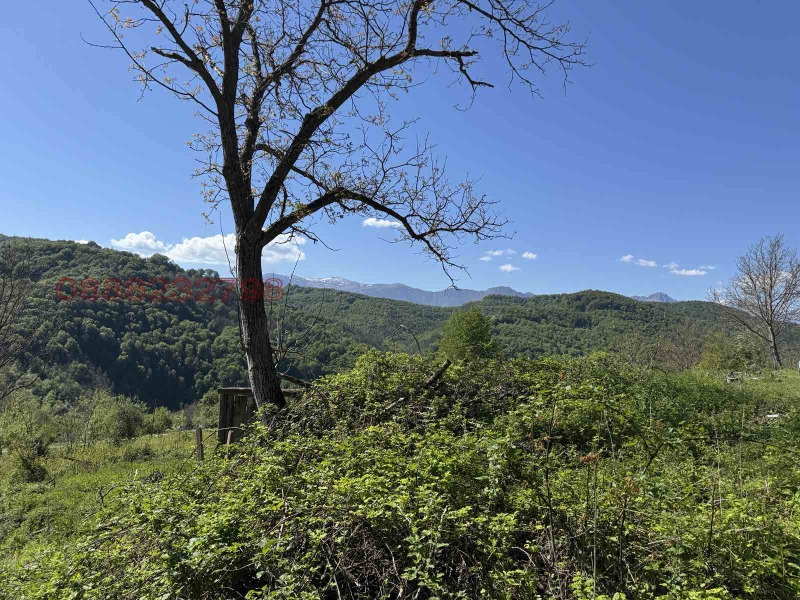 Til salgs  Plott region Gabrovo , Selishte , 5200 kvm | 29730991 - bilde [3]