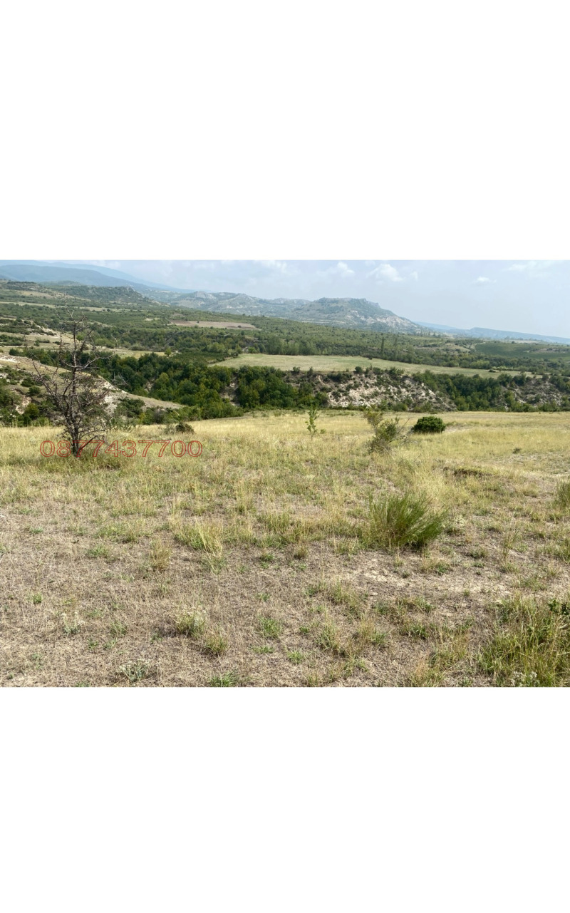 Na sprzedaż  Grunt region Błagojewgrad , Dolna Gradesznica , 20 dka | 43389825 - obraz [3]