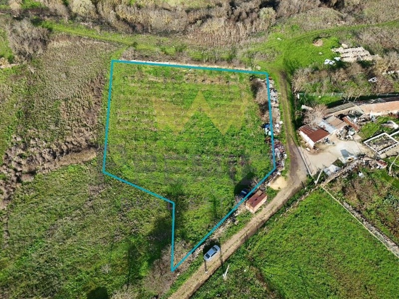 Продава ПАРЦЕЛ в област Добрич, с. Божурец - 4036 кв.м / 32 000 € » 62 586.56 лв., ИМОТИ ПРЕМИЕР