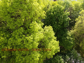 ����� ������� 2-�����,���� �����, ����� ������