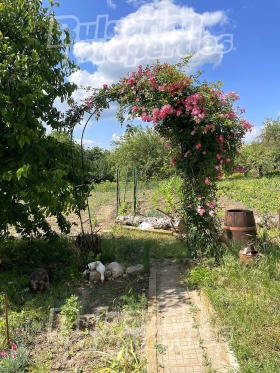 ������� ���� | Imot.bg � ����� ������ 12