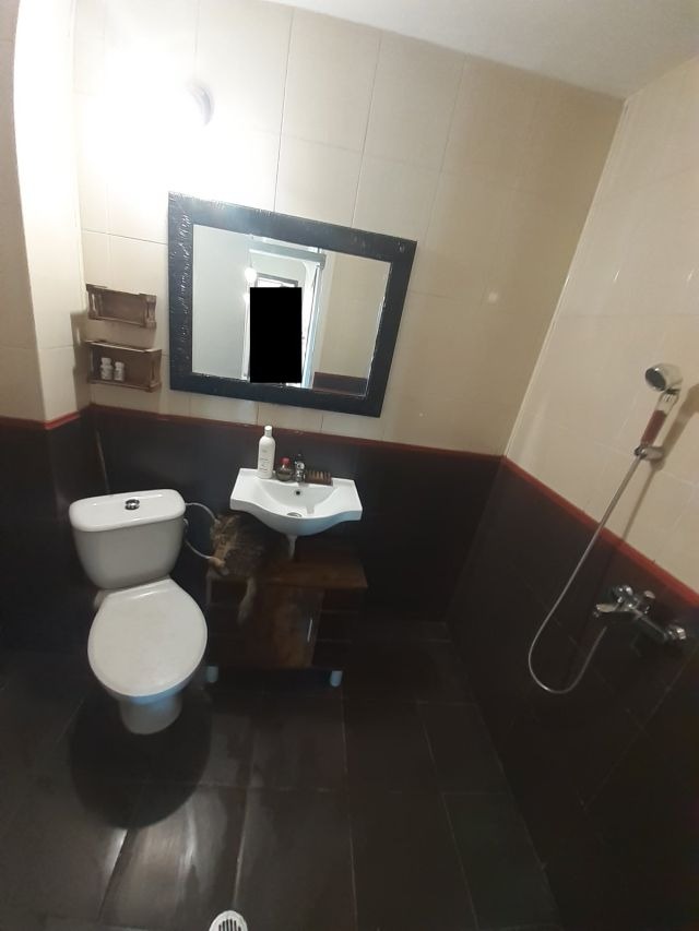 Til salg  Hus region Ruse , Nikolovo , 165 kvm | 79235720 - billede [12]