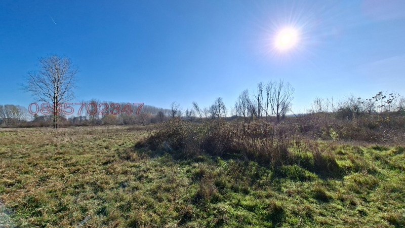 Продава ЗЕМЕДЕЛСКА ЗЕМЯ, с. Неделево, област Пловдив, снимка 3 - Земеделска земя - 52813423