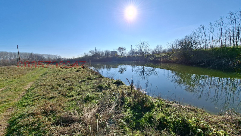 Продава ЗЕМЕДЕЛСКА ЗЕМЯ, с. Неделево, област Пловдив