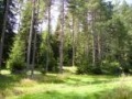 Продава  Земеделска земя област Хасково , с. Присадец , 7 дка | 88949722