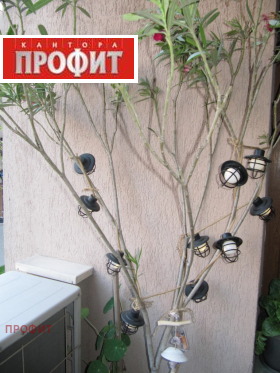  3- | Imot.bg    14