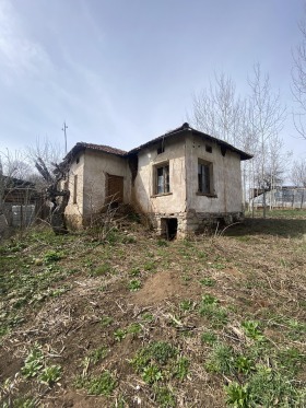 Hus Godesj, region Sofia 4