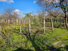 ������� ���� | Imot.bg � ����� ������ 4