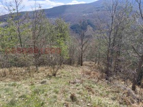 ����� ������� ���������� ����,�. ��������, ������ ���������