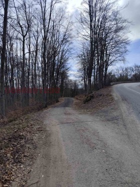������� ���������� ���� | Imot.bg � ����� ������ 12