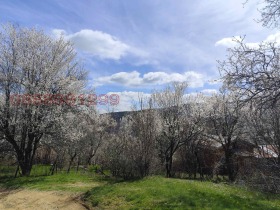 ������� ���������� ���� | Imot.bg � ����� ������ 5