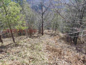 ������� ���������� ���� | Imot.bg � ����� ������ 3
