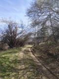 Продава ЗЕМЕДЕЛСКА ЗЕМЯ, с. Богослов, област Кюстендил, снимка 6