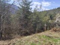 Продава ЗЕМЕДЕЛСКА ЗЕМЯ, с. Богослов, област Кюстендил, снимка 2