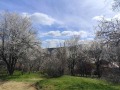 Продава ЗЕМЕДЕЛСКА ЗЕМЯ, с. Богослов, област Кюстендил, снимка 5