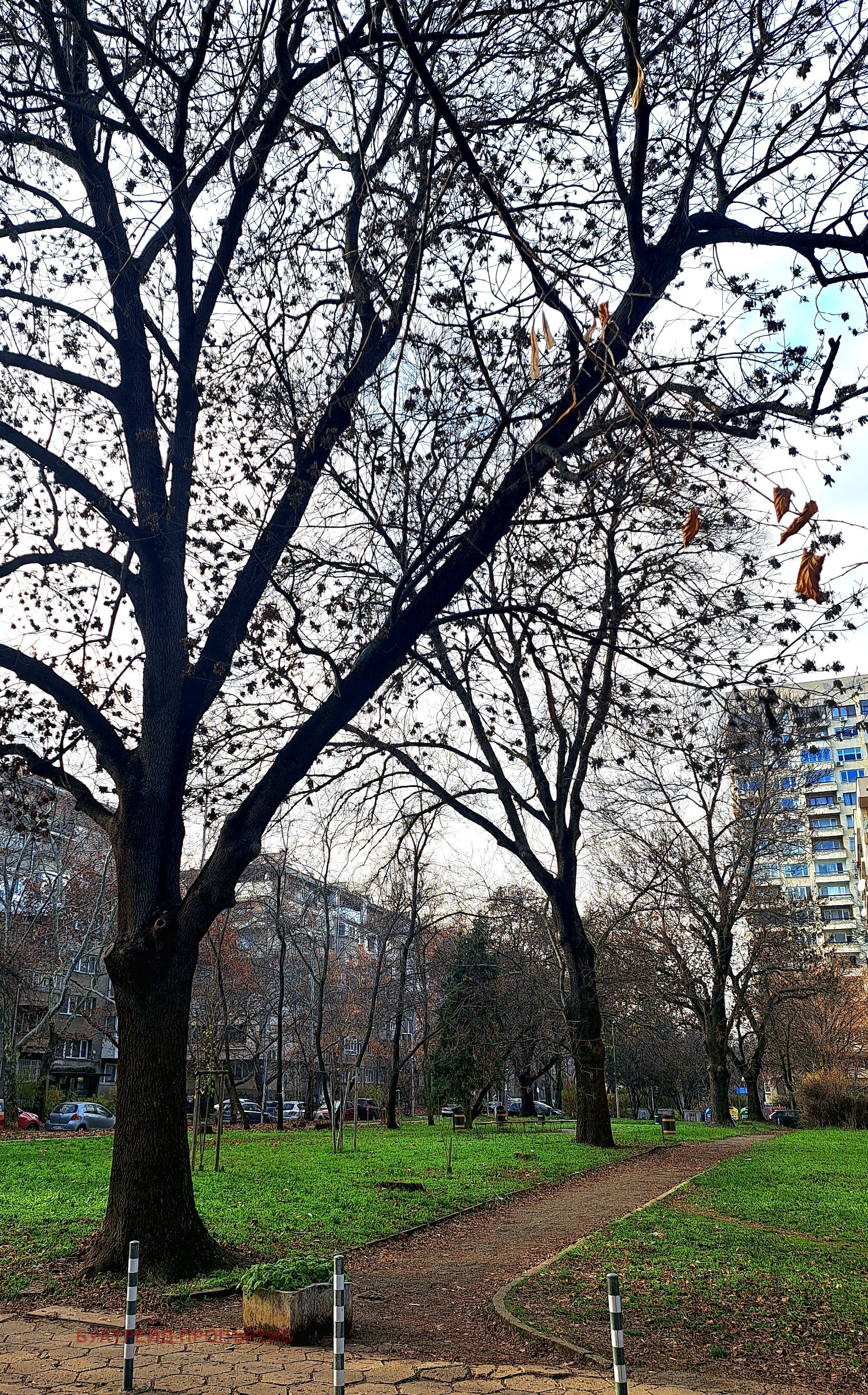 ������� 3-����� | Imot.bg � ����������� 17