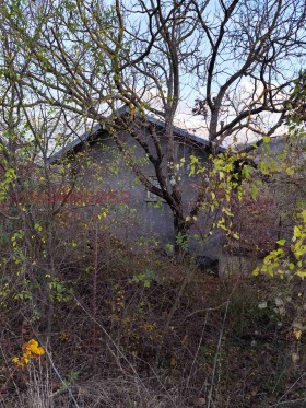 ������� ���� | Imot.bg � ����� ������ 5