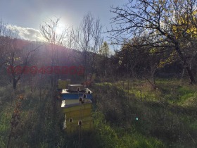 ������� ���� | Imot.bg � ����� ������ 8