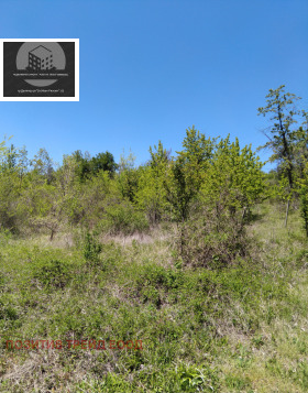 ������� ������ | Imot.bg � ����� ������ 3