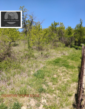 ����� ������� ������,��. �������, ������ ���������