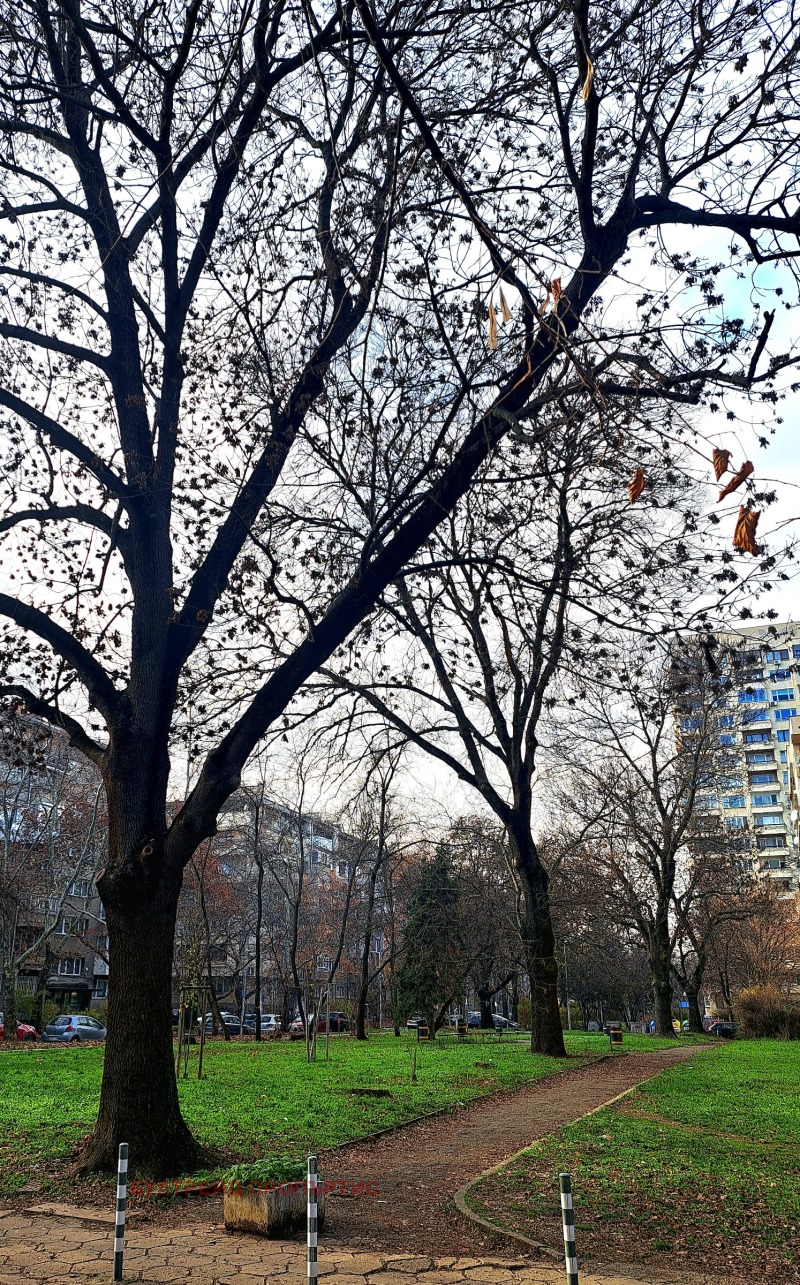 Продава 3-СТАЕН, гр. София, Иван Вазов, снимка 17 - Апартаменти - 53233520