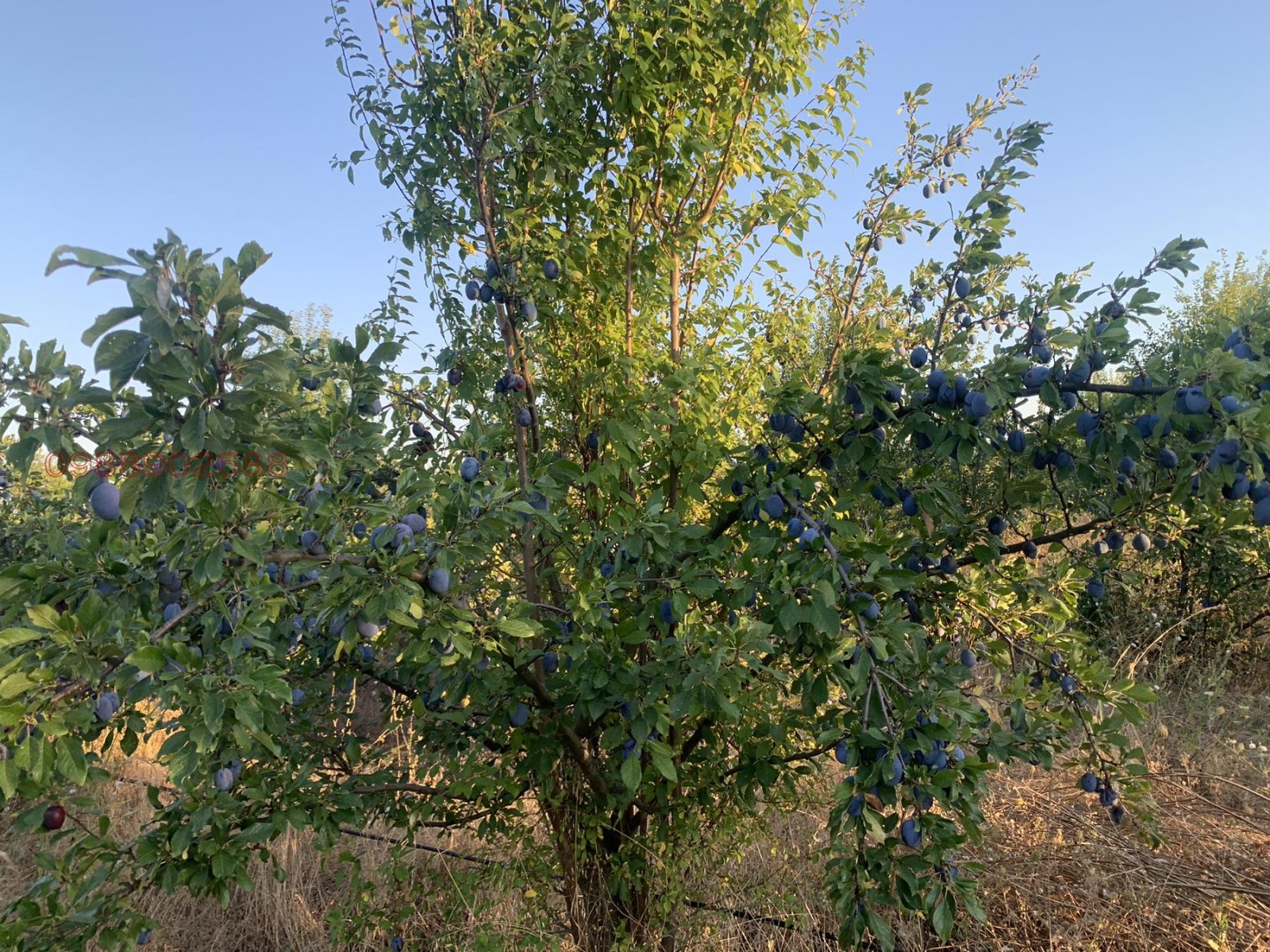 ������� ���������� ���� | Imot.bg � ����������� 4