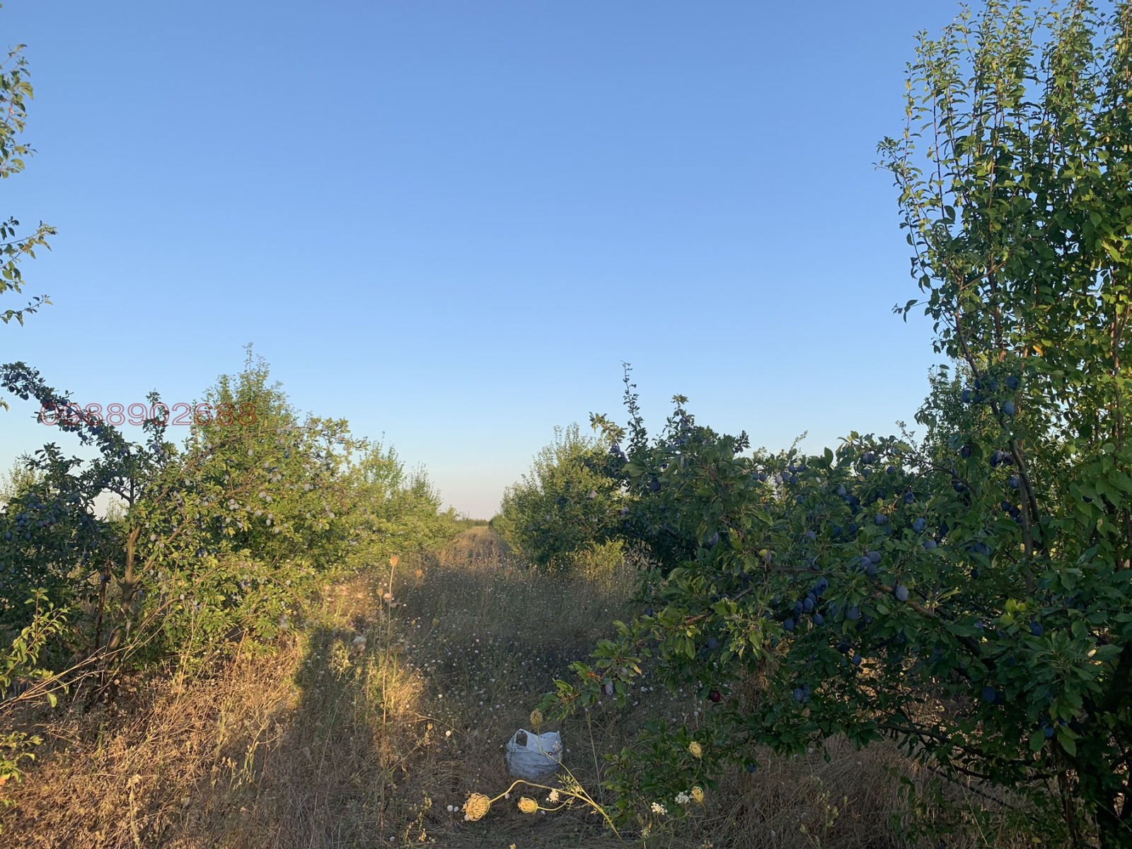 ������� ���������� ���� | Imot.bg � ����������� 1