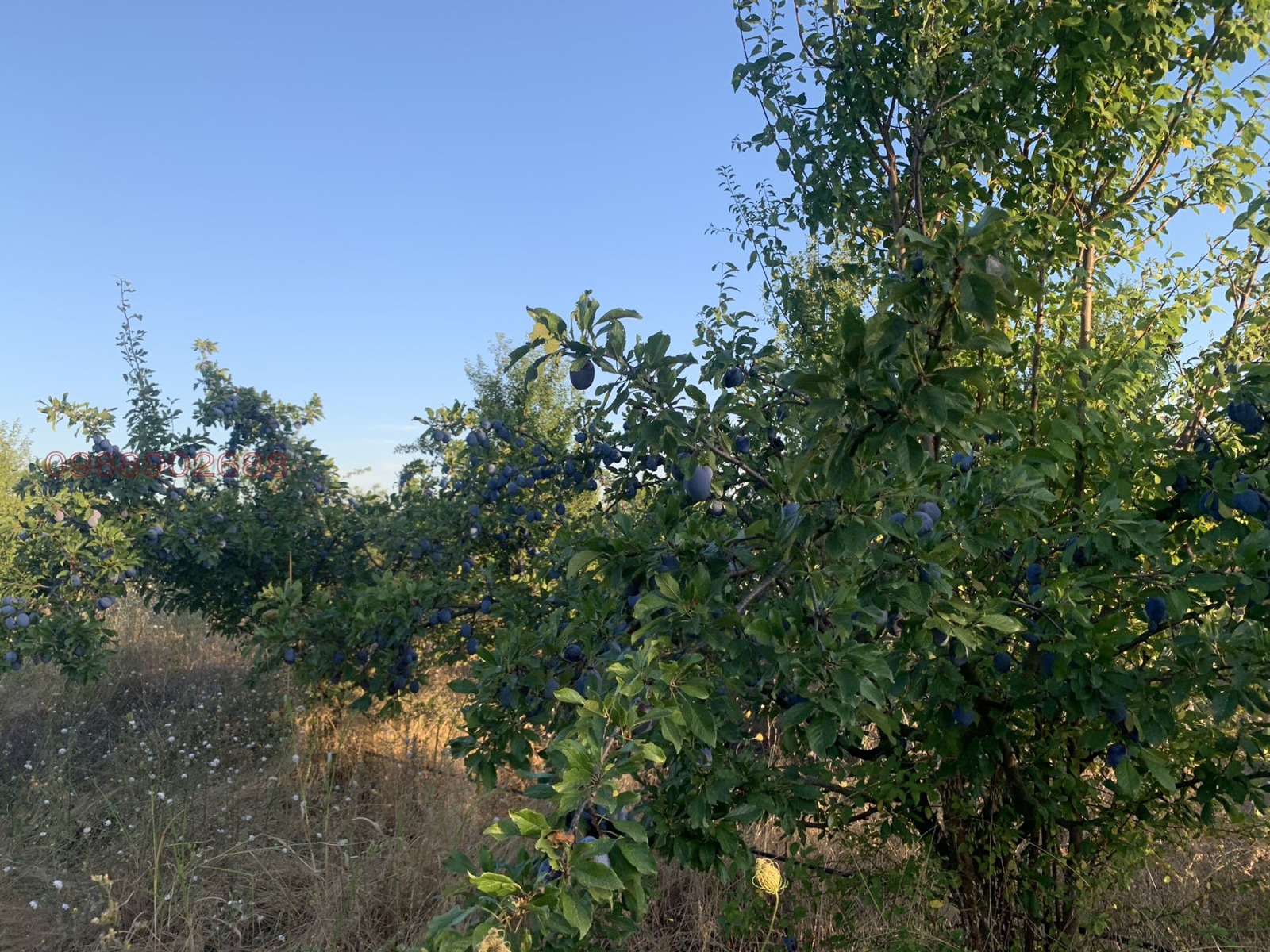 ������� ���������� ���� | Imot.bg � ����������� 3