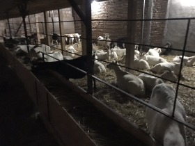 ������� ���� | Imot.bg � ����� ������ 2