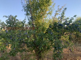 ������� ���������� ���� | Imot.bg � ����� ������ 4