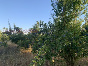 ������� ���������� ���� | Imot.bg � ����� ������ 3