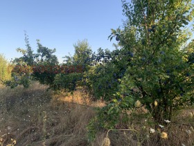 ������� ���������� ���� | Imot.bg � ����� ������ 2