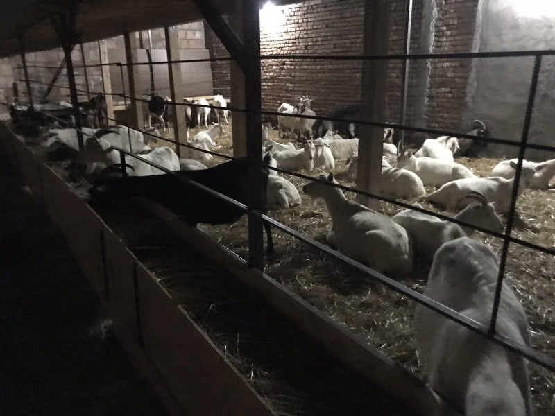 Продава КЪЩА, с. Кара Михал, област Разград, снимка 2 - Къщи - 52927647