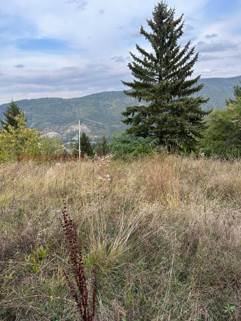 For Sale  Plot Sofia , Kokalyane , 600 sq.m | 77511342 - image [7]