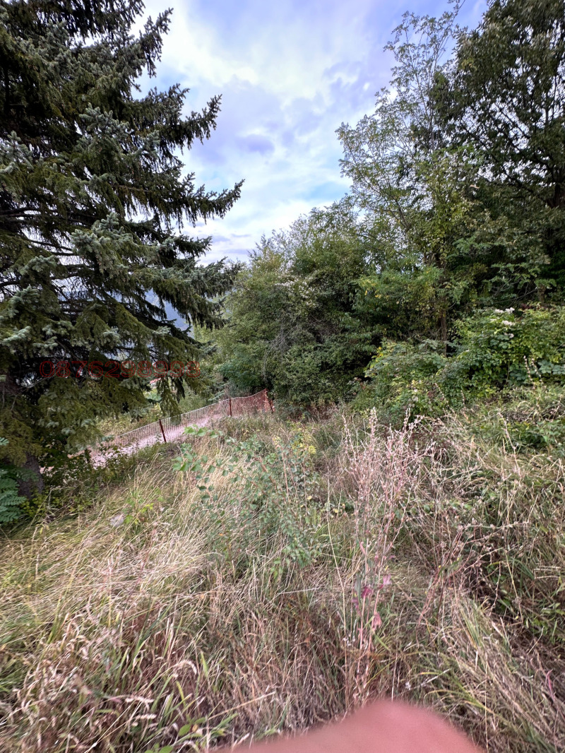 For Sale  Plot Sofia , Kokalyane , 600 sq.m | 77511342 - image [5]