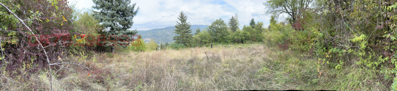 For Sale  Plot Sofia , Kokalyane , 600 sq.m | 77511342 - image [6]