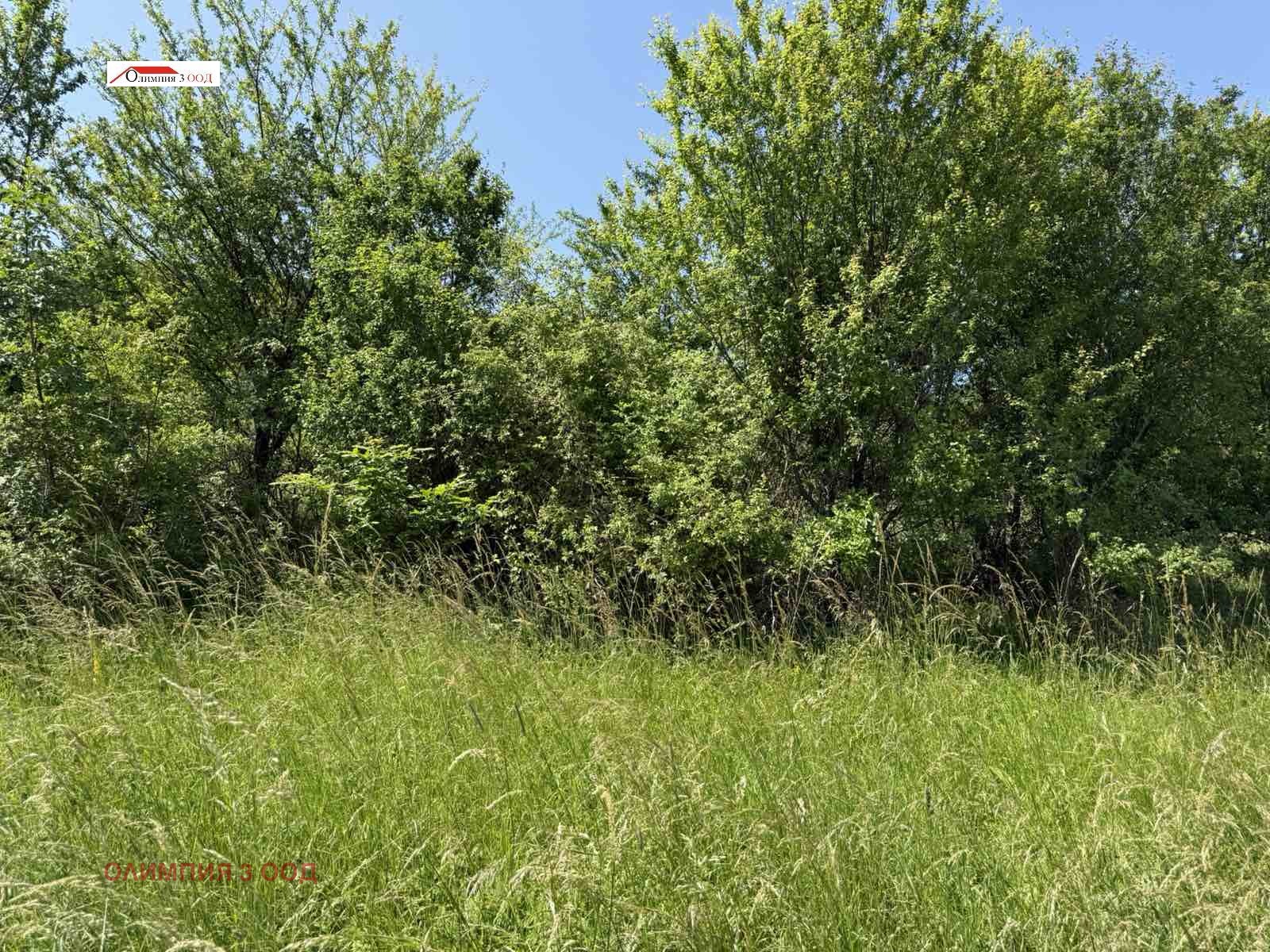 Продава ПАРЦЕЛ, гр. София, с. Лозен, снимка 2 - Парцели - 50669569