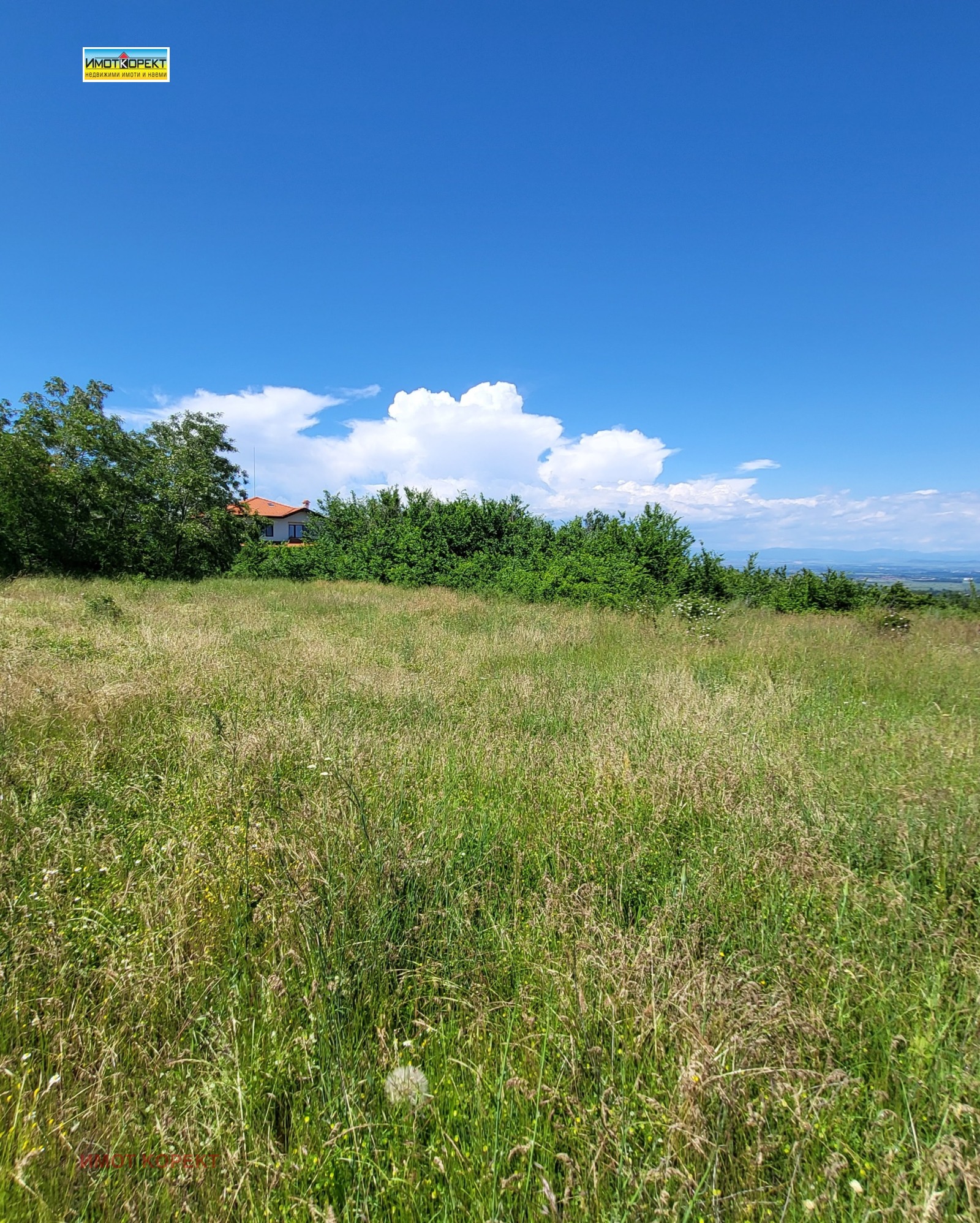 Продава ПАРЦЕЛ, с. Паталеница, област Пазарджик, снимка 8 - Парцели - 54690542
