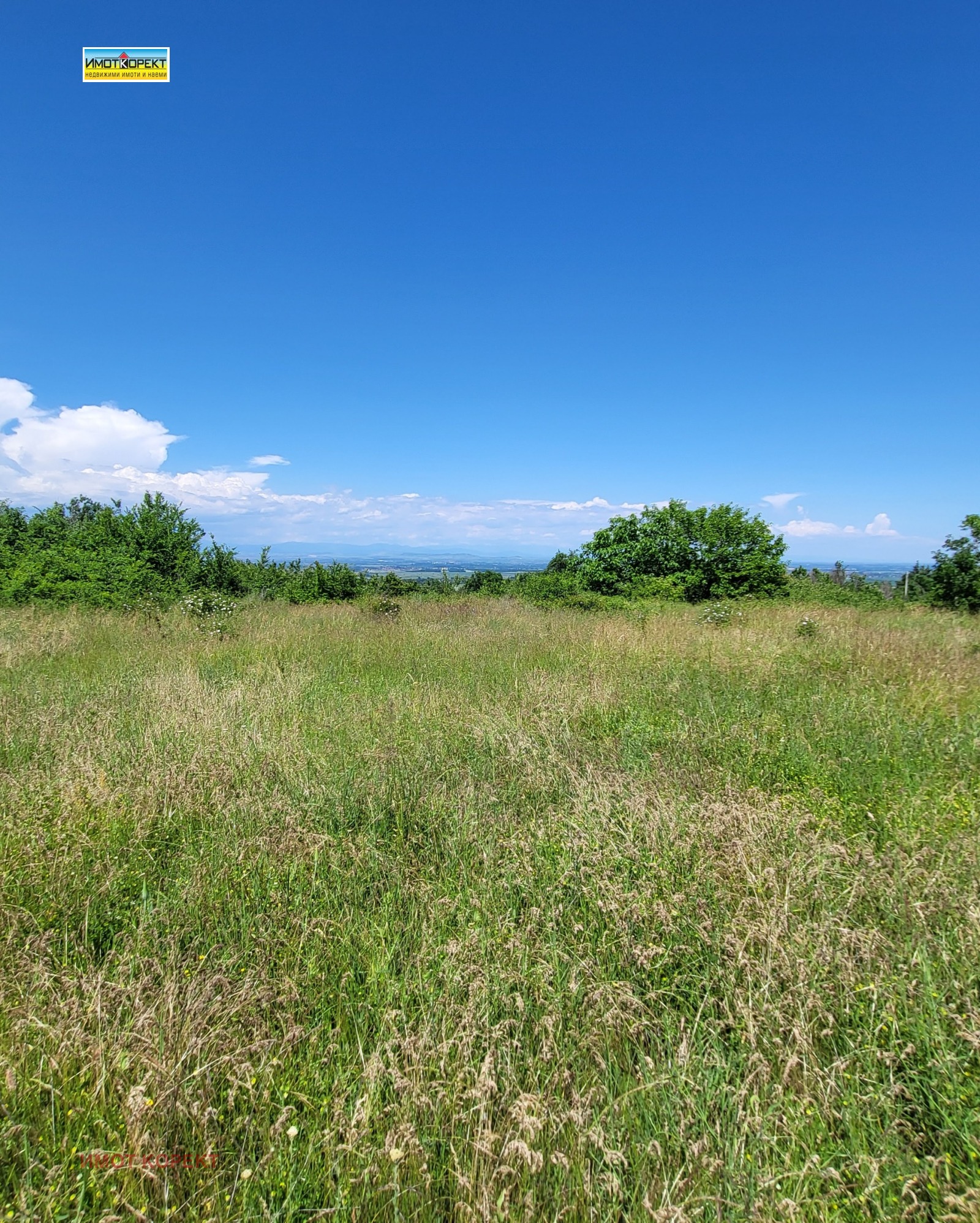 Продава ПАРЦЕЛ, с. Паталеница, област Пазарджик, снимка 7 - Парцели - 54690542