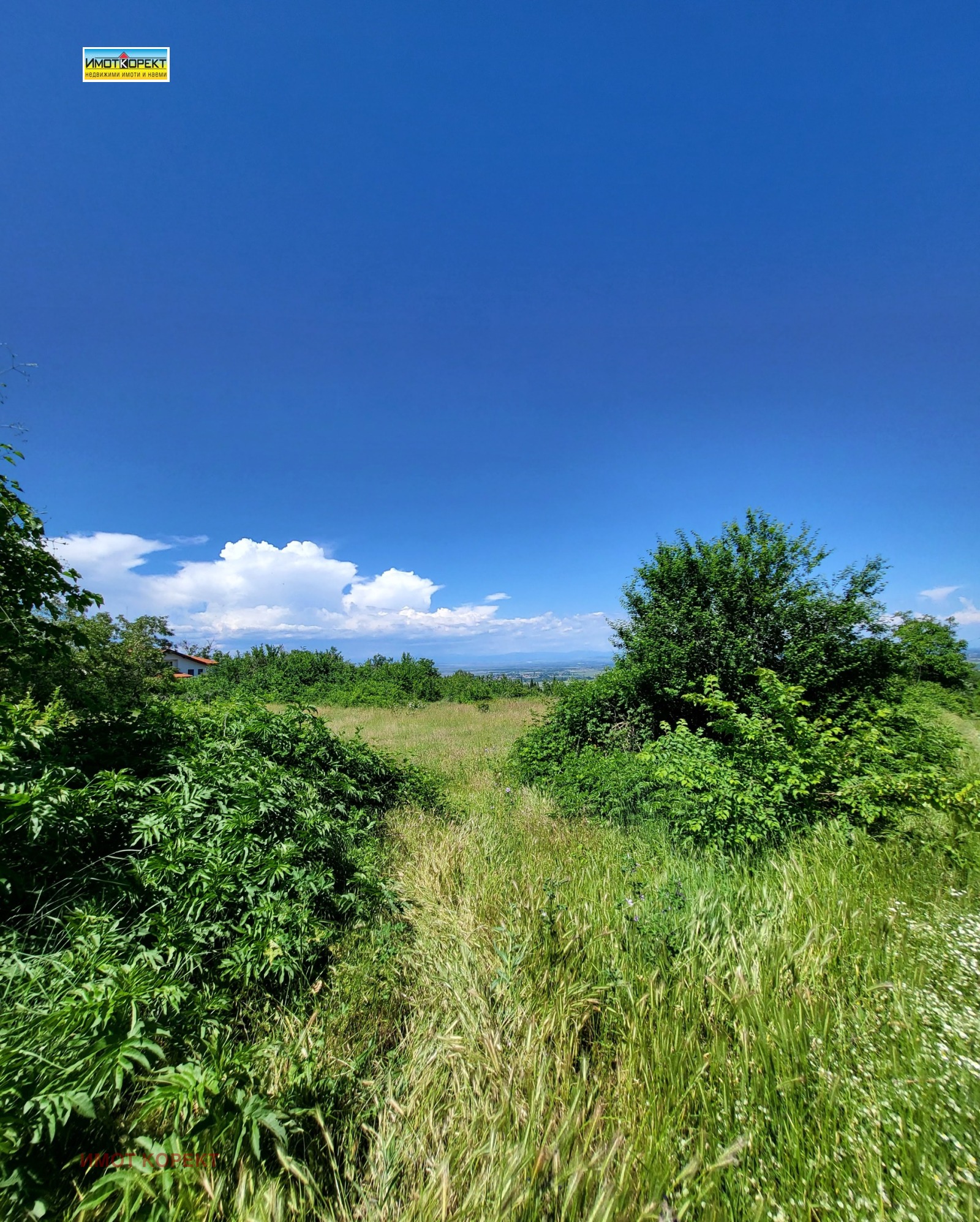Продава ПАРЦЕЛ, с. Паталеница, област Пазарджик, снимка 3 - Парцели - 54690542