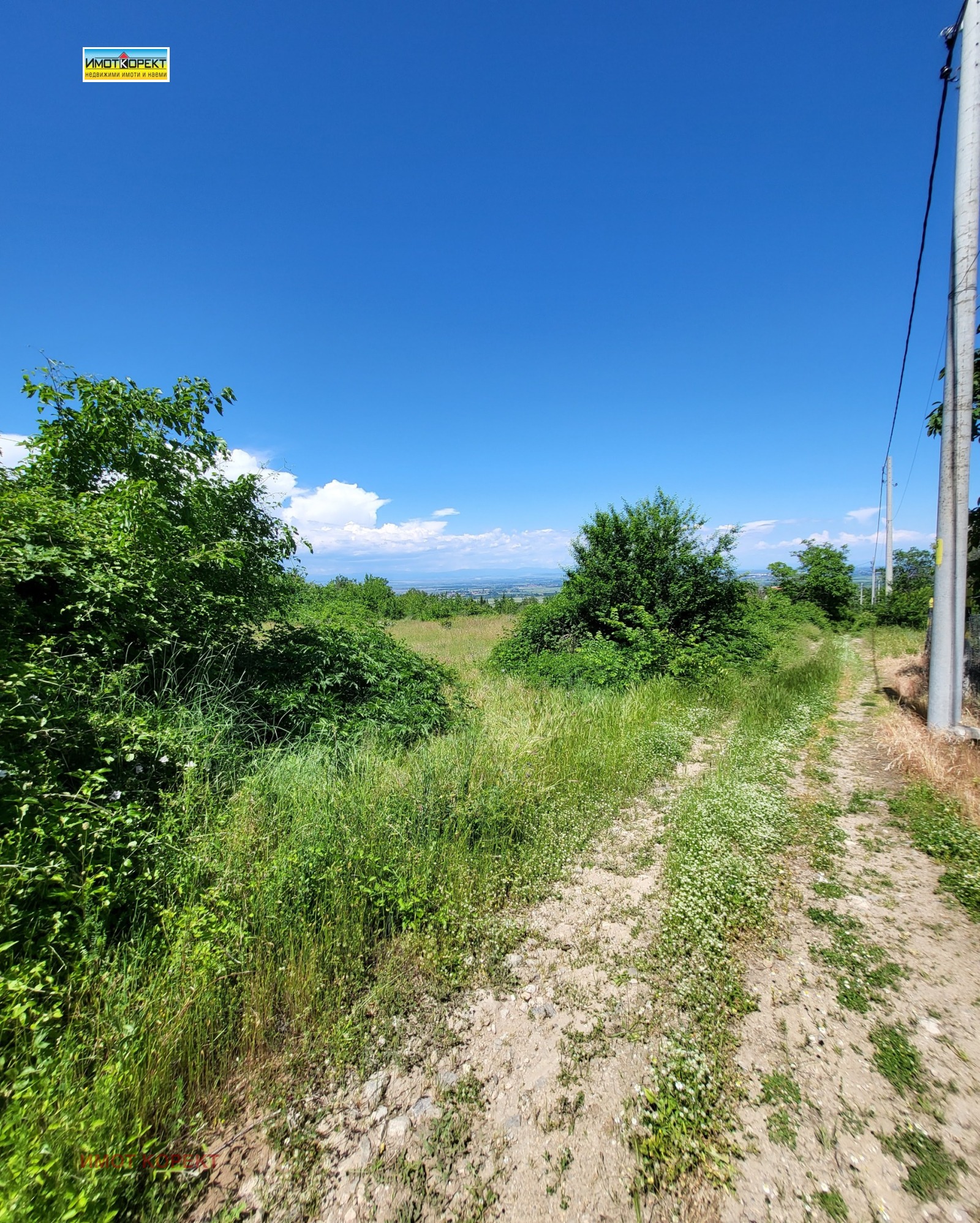 Продава ПАРЦЕЛ, с. Паталеница, област Пазарджик, снимка 6 - Парцели - 54690542
