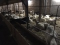Продава КЪЩА, с. Кара Михал, област Разград, снимка 2
