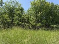 Продава ПАРЦЕЛ, гр. София, с. Лозен, снимка 2