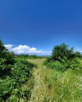 Продава ПАРЦЕЛ, с. Паталеница, област Пазарджик, снимка 3