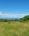 Продава ПАРЦЕЛ, с. Паталеница, област Пазарджик, снимка 2