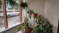 Продава ОФИС, град София, Оборище • 787500 € • 81347453 — Holmes.bg