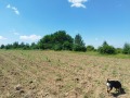 Продава ПАРЦЕЛ, с. Кладница, област Перник, снимка 9