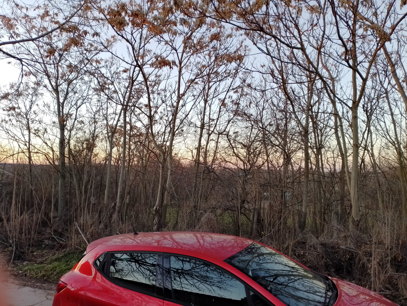 ������� ������ | Imot.bg � ����������� 12