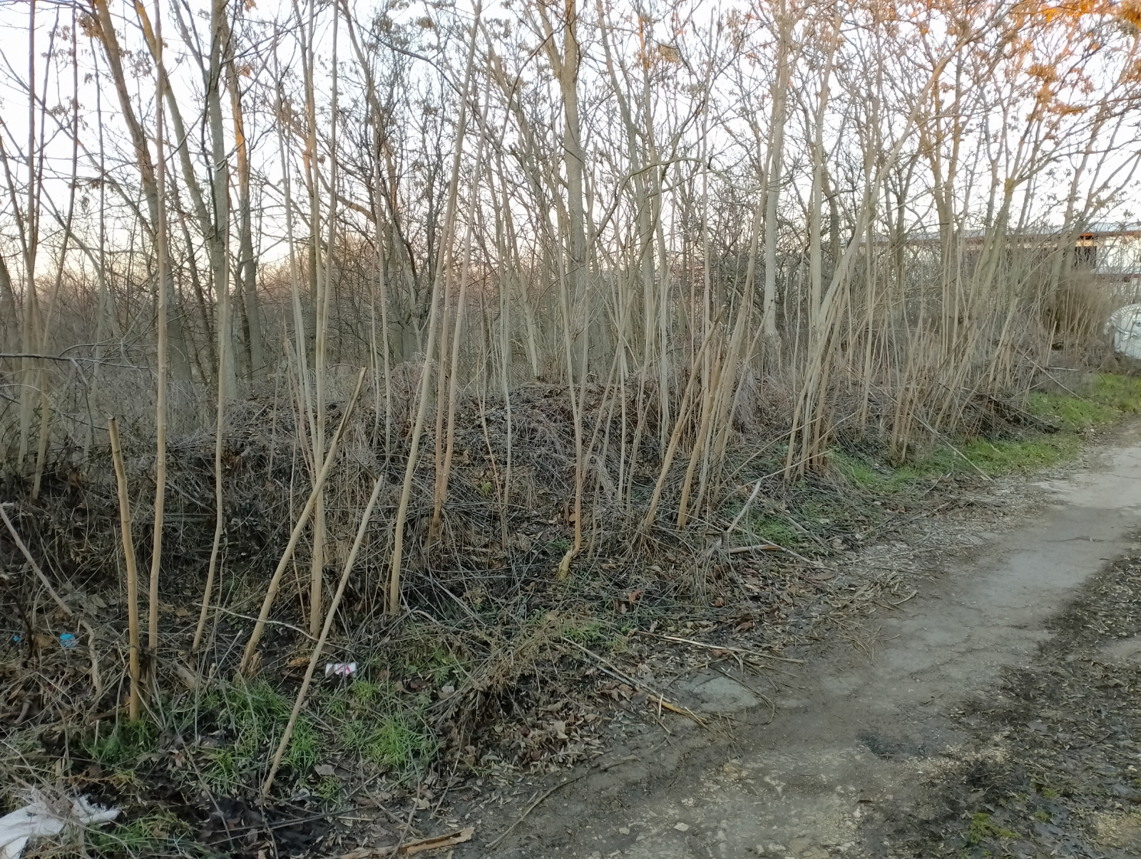 ������� ������ | Imot.bg � ����������� 4