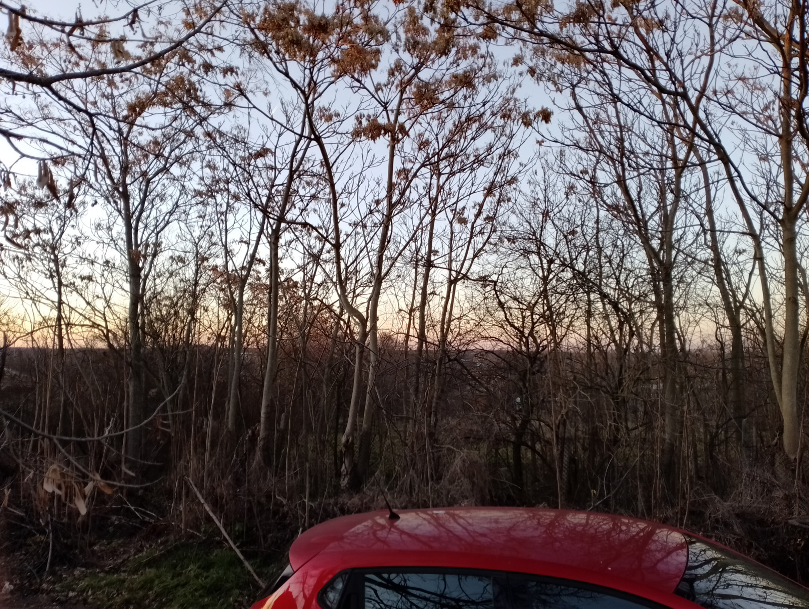 ������� ������ | Imot.bg � ����������� 8